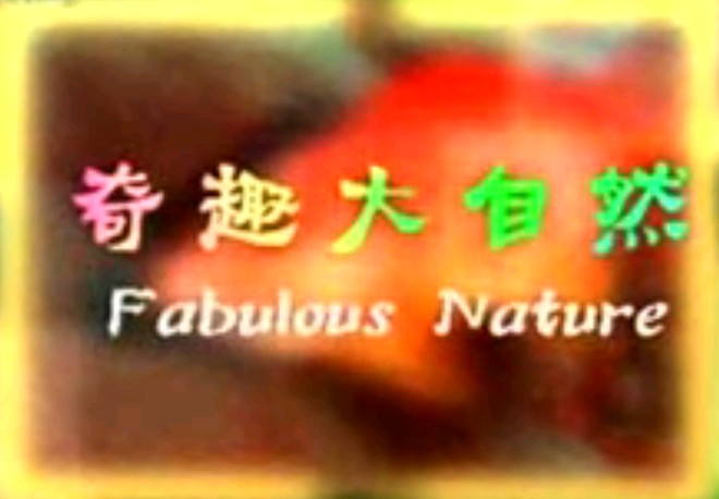 奇趣大自然_大川归海